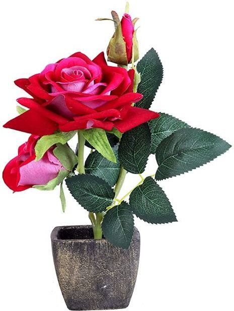 bellveen Artificial Red Rose Flower with Square Pot for Home décor Wild Artificial Plant with Pot-picture-13