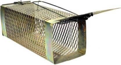 Rat/Mouse/ Trap Cage Live Trap Live Trap-image-8