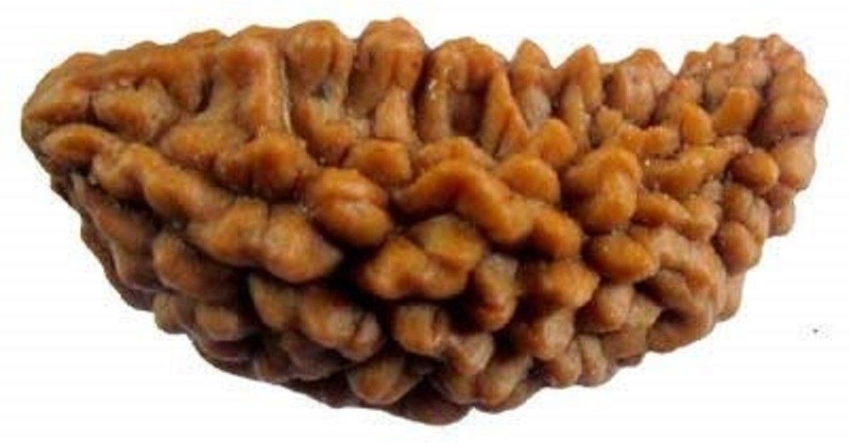 Rudram 1 Mukhi Rudraksha Rameshwaram Beads (Natural Brown) Wood Pendant-image-33