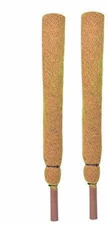 Coco Pole 3 FT(61 cm) - 2 Pieces -Moss & Coir Stick for Money Plant Support, Indoor Plants, House Plants & Plant Creepers Garden Mulch-image-21