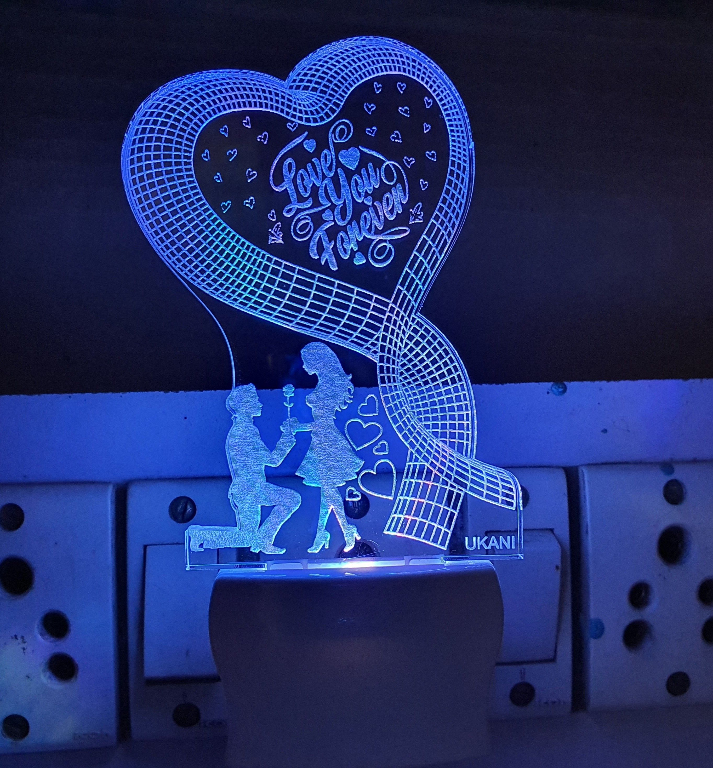 Picture Light Wall Lamp With Bulb