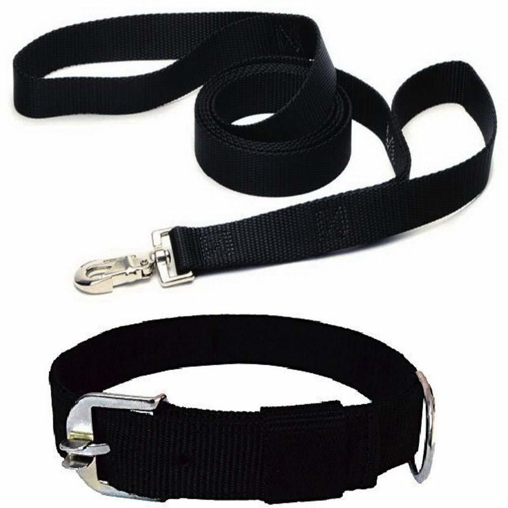 X LARGE SIZE Dog COLLAR LEASH of 1 inch BLACK COLOR Dog Collar Leash Dog Collar & Leash-image-11