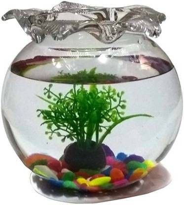 Glass Fish Tank for Small Betta Fish & Plants jhallar_08 (8 INCH) Round Ends Aquarium Tank-image-40
