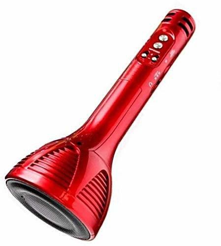 Handheld KTV Wireless Microphone HIFI Speaker Bluetooth mic with speaker for singing and with FM Radio Indoor, Outdoor PA System