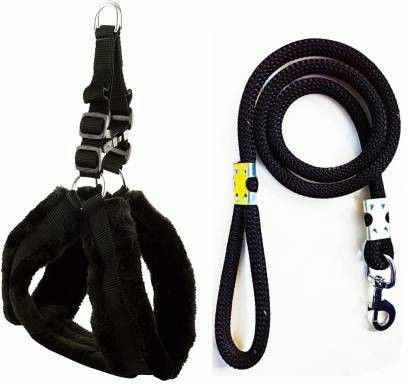 tyson Dog Harness & Leash-picture-23