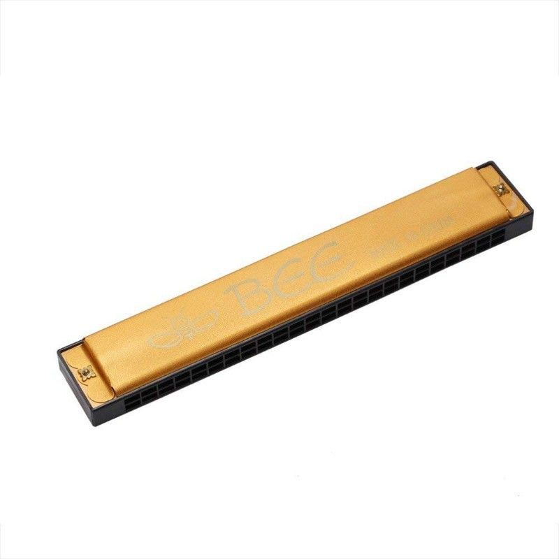 pnc Music Mouth Organ 24 Holes Key of C With 48 Tones Metal Harmonica (Yellow)-picture-27