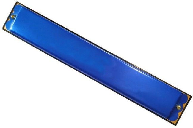 bapc Mouth Organ 24 Holes 48 tones Metal harmonica with Key of C Tone for Kids/Beginners (Blue)-picture-25