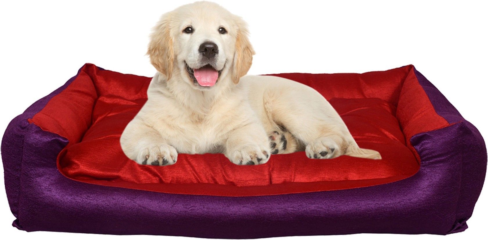 heaven luxurious Premium Ultra Soft Velvet Sofa Dog Bed & Cat Bed |Puppies Puppy Pet Bed M Pet Bed-picture-16
