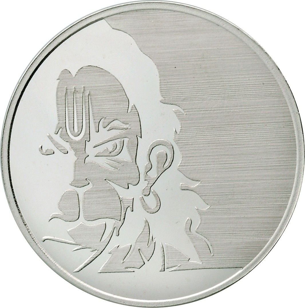 BRN08 S 999 20 g Silver Coin