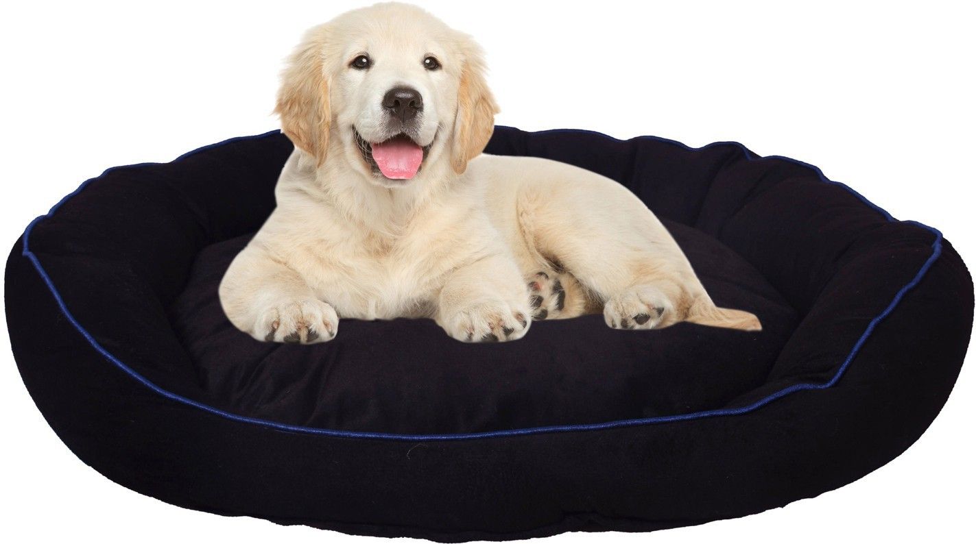 slatters be royal store PremiumQuality Velvet Luxury Washable DOG Sofa For All Season Sleeping CatPuppy XXL Pet Bed-picture-39