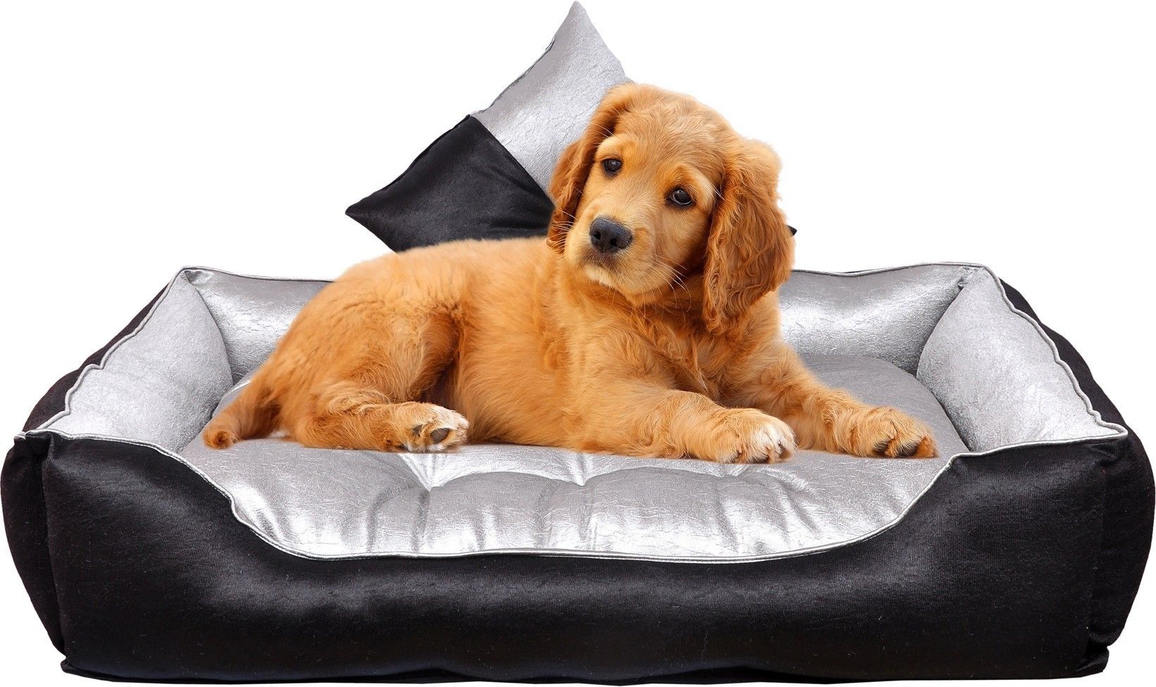 PremiumQuality Velvet Luxury Washable DOG Sofa For All Season Sleeping CatPuppy M Pet Bed-image-24
