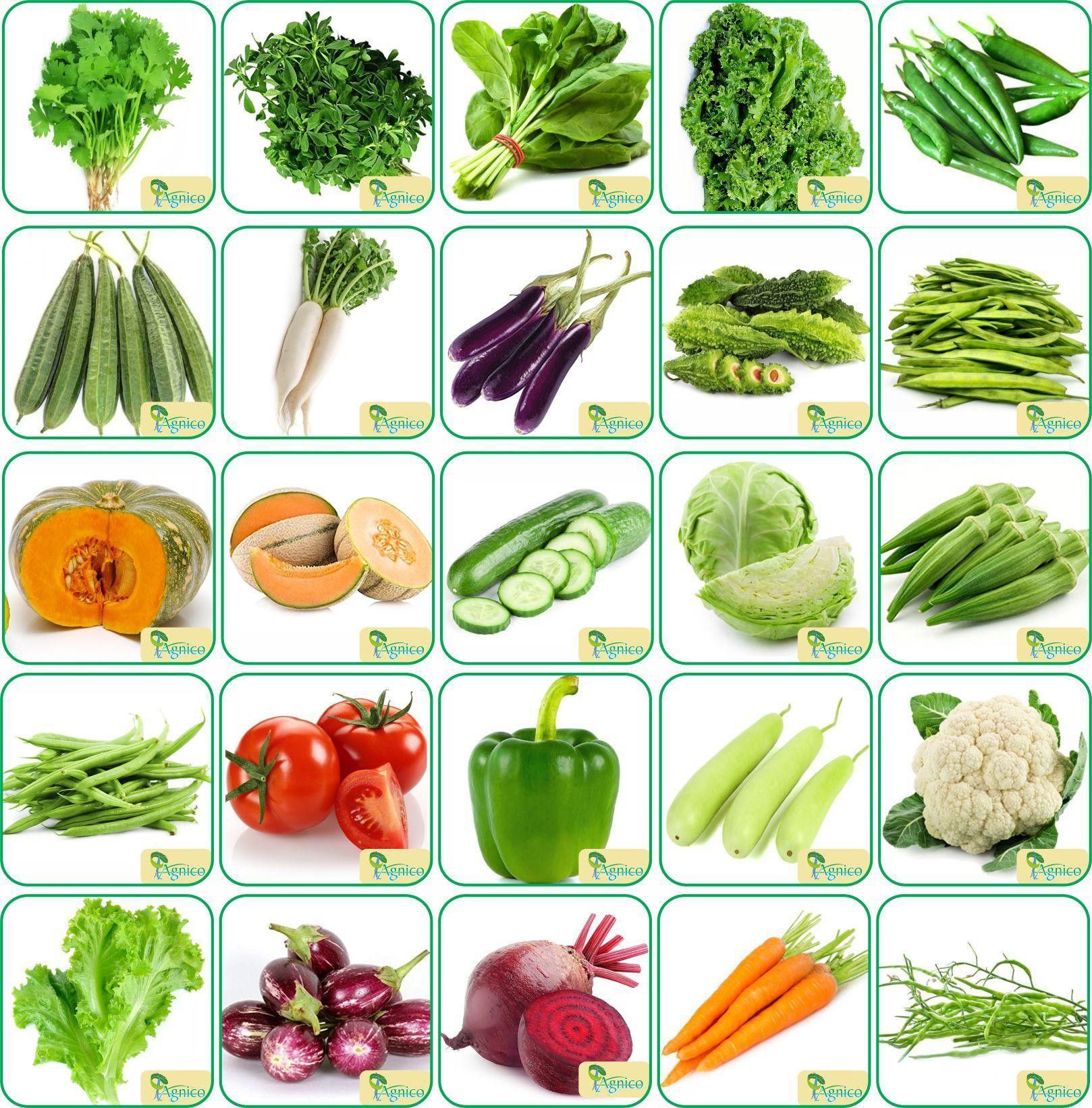 Agnico 25 Varieties of Vegetable 1700+ Seeds For Your Garden Beautiful Bloom High Germination Seeds with Instruction Manual Seed-image-15