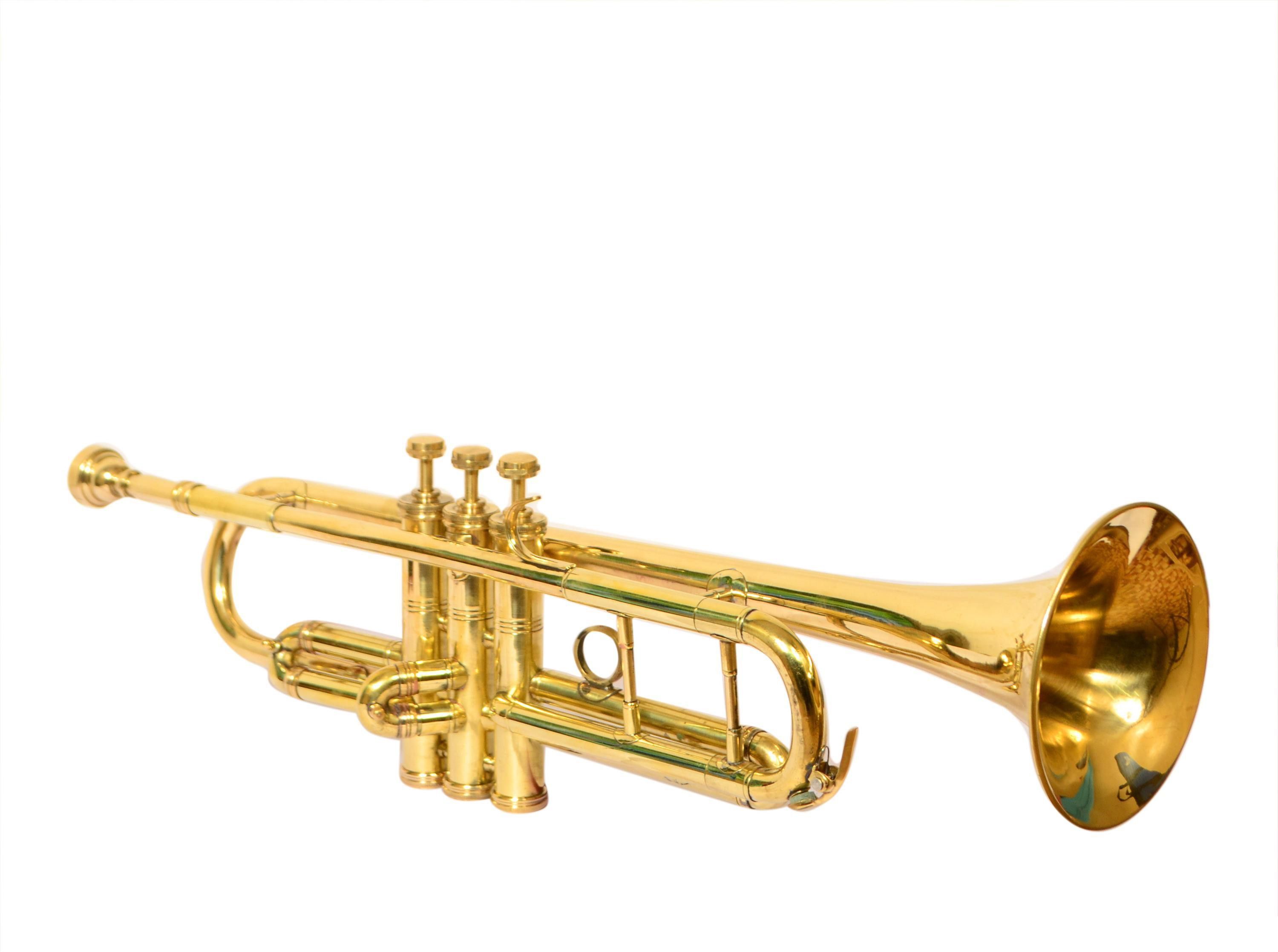 skylark international TRMP02 Bb Trumpet-picture-13