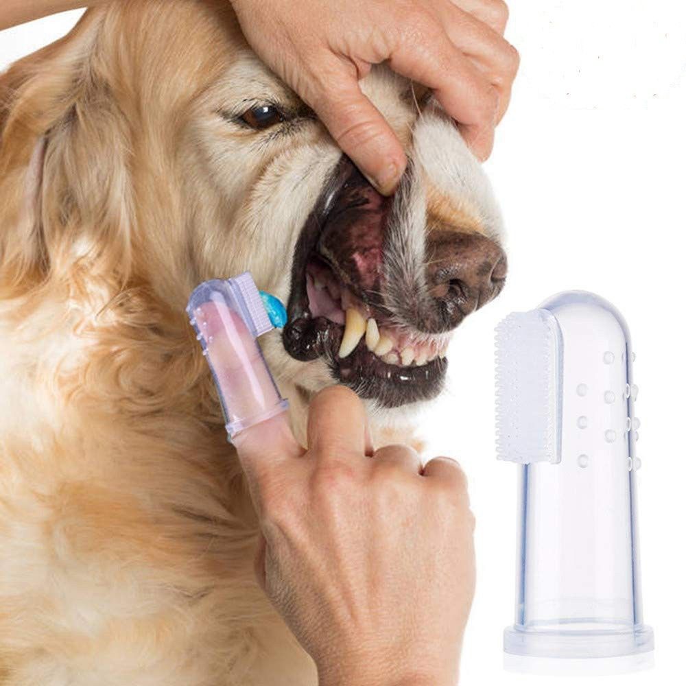 Oral Care Pet Finger Toothbrush for Dog and Cat Pet Toothbrush-image-27