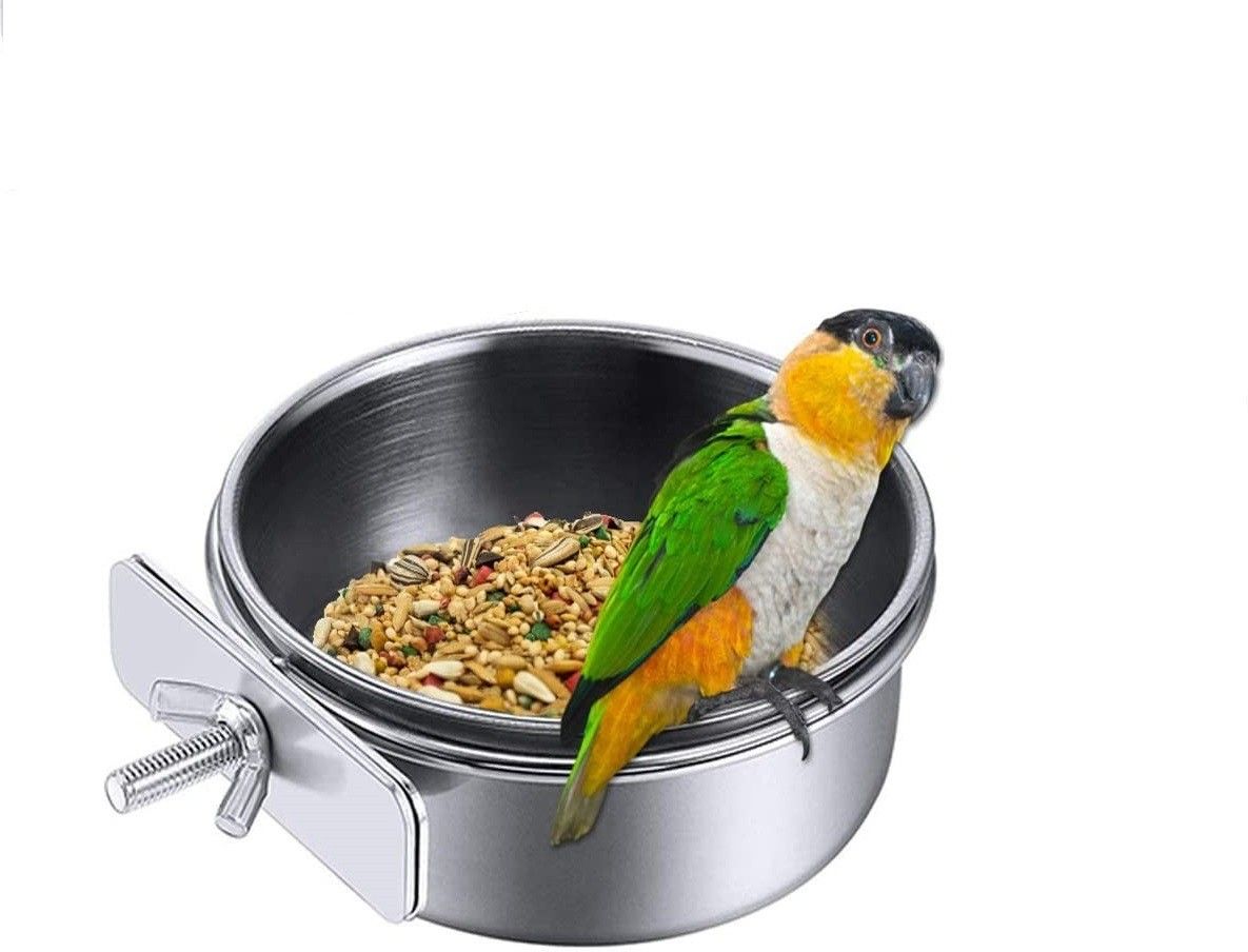 the dds store Window Bird Feeder Bird Feeder-picture-33