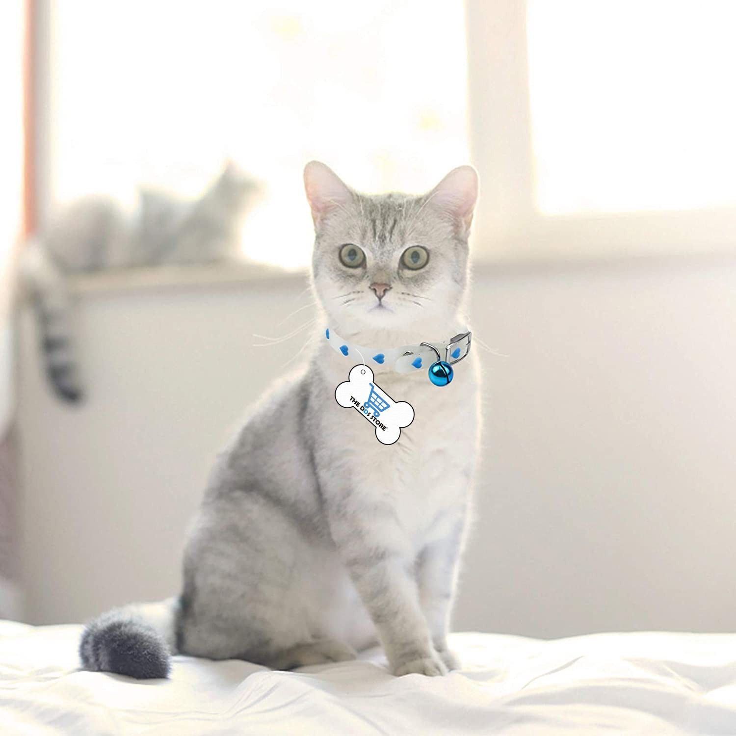 the dds store Cat Everyday Collar (Small, multicolor) Cat Everyday Collar-picture-31