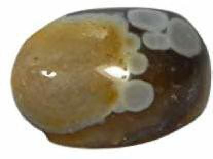 Natural 8 Eye DZI Bead stone 20.5ct Regular Asymmetrical Crystal Stone-image-16