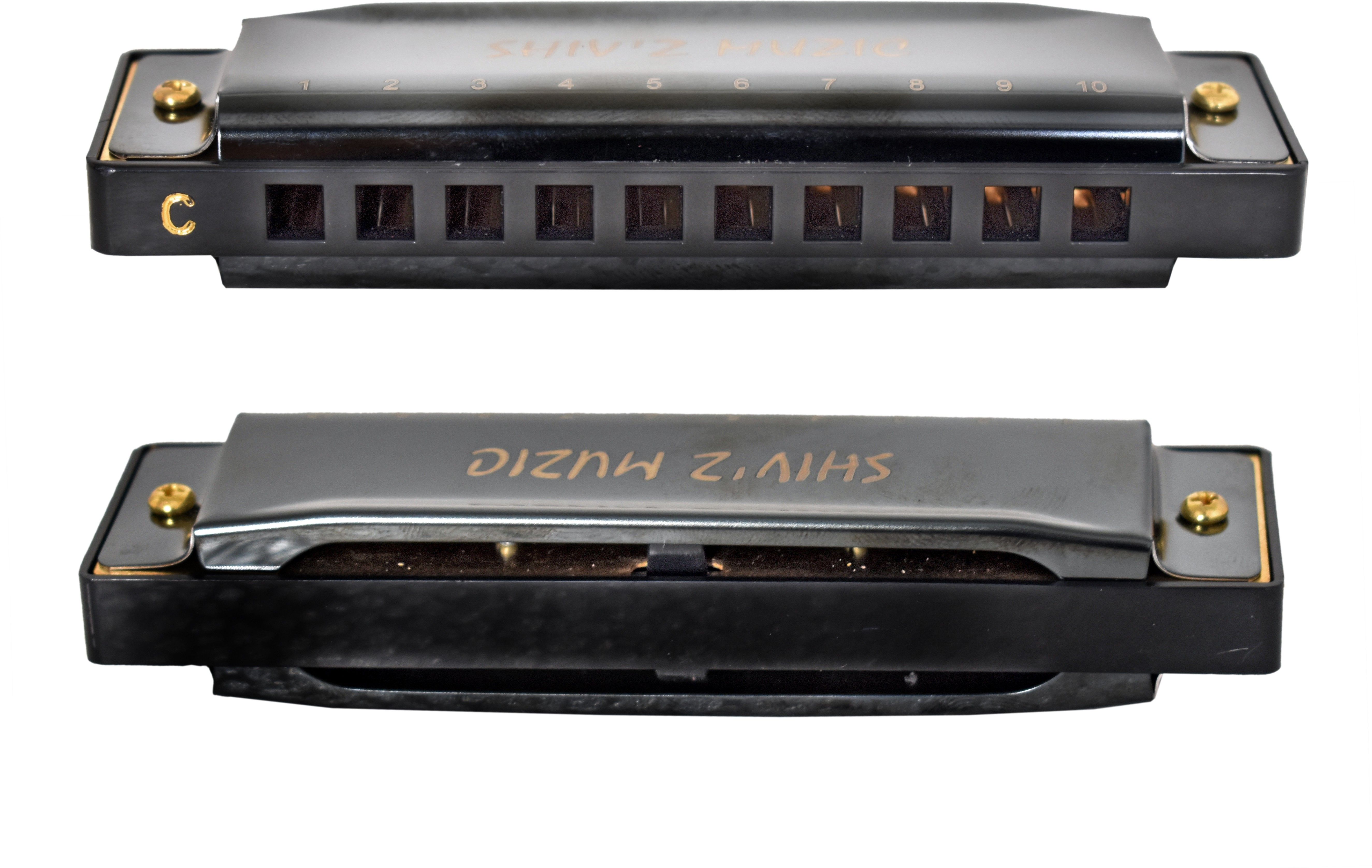 shiv'z muzic Harmonica, 10 Holes Mouth Organ, Premium Quality (with carry Case & Manual )-picture-19