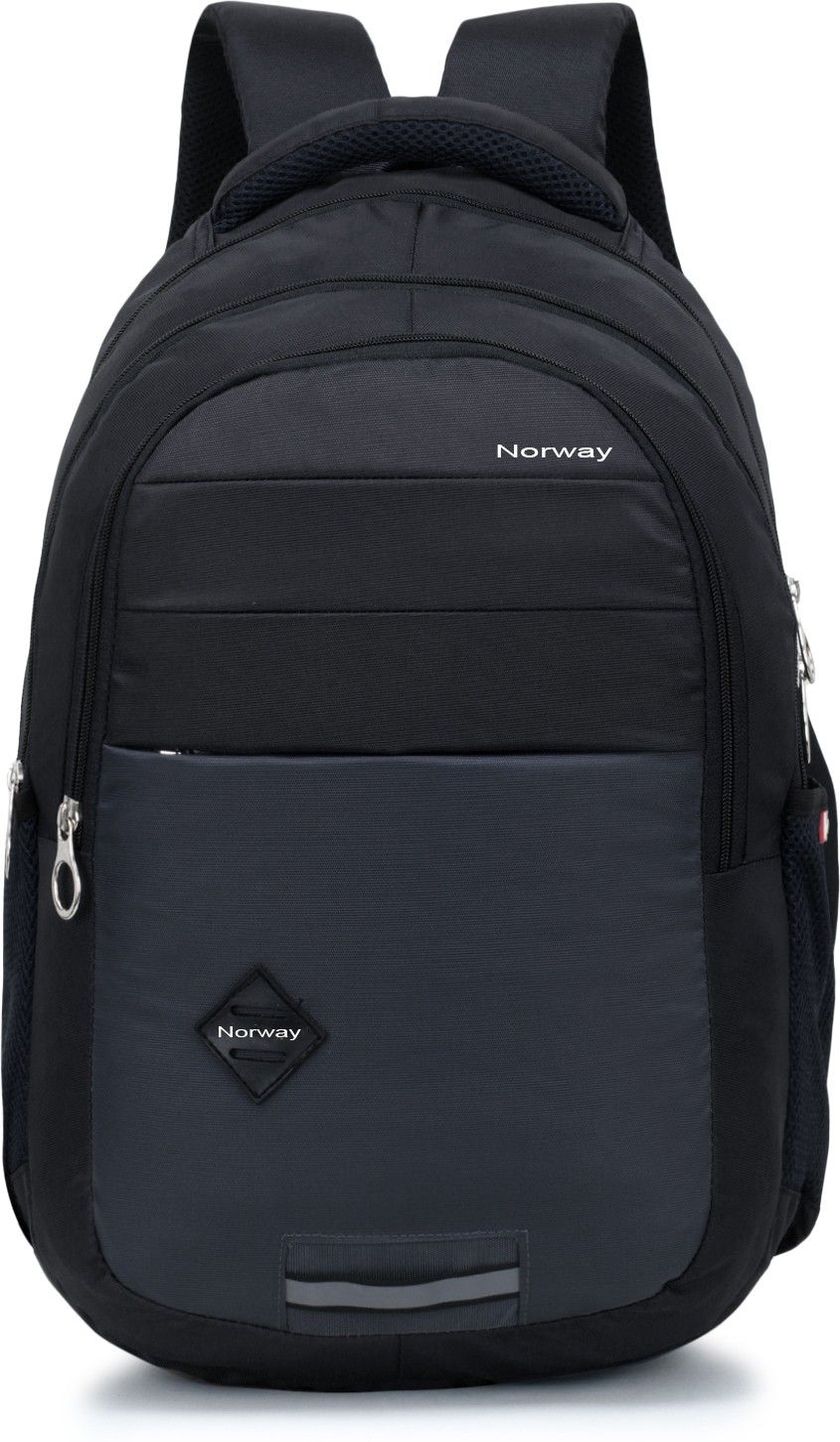Medium 30 L Laptop Backpack Laptop Backpack Pheonix 15.6 inch official Unisex Laptop Backpack/Office Bag/School Bag/College Bag/Business Bag/Unisex Travel Backpack-image-5