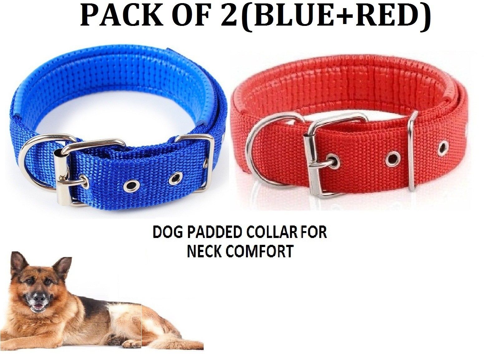 Dog Everyday Collar-image-27