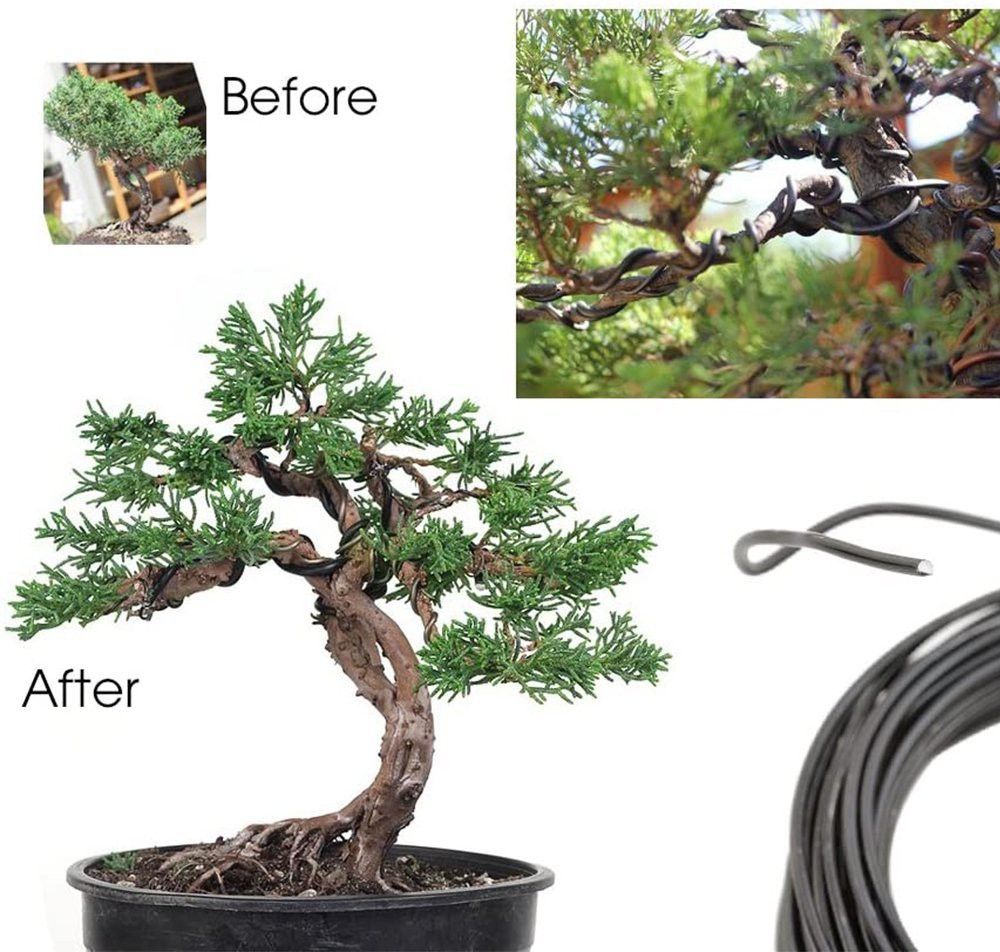 greenartz 66ft Bonsai wire 2mm Brown Plant Straightener-picture-13