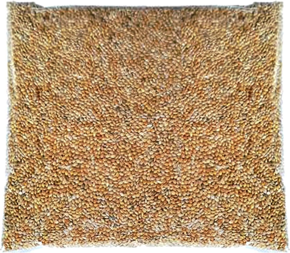 swezo Premium budgie food (500g) Blue Bird Bird Feeder-picture-13