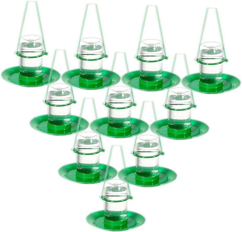 amijivdaya Large water feeder (pack of 10) Window Bird Feeder Bird Feeder-picture-38