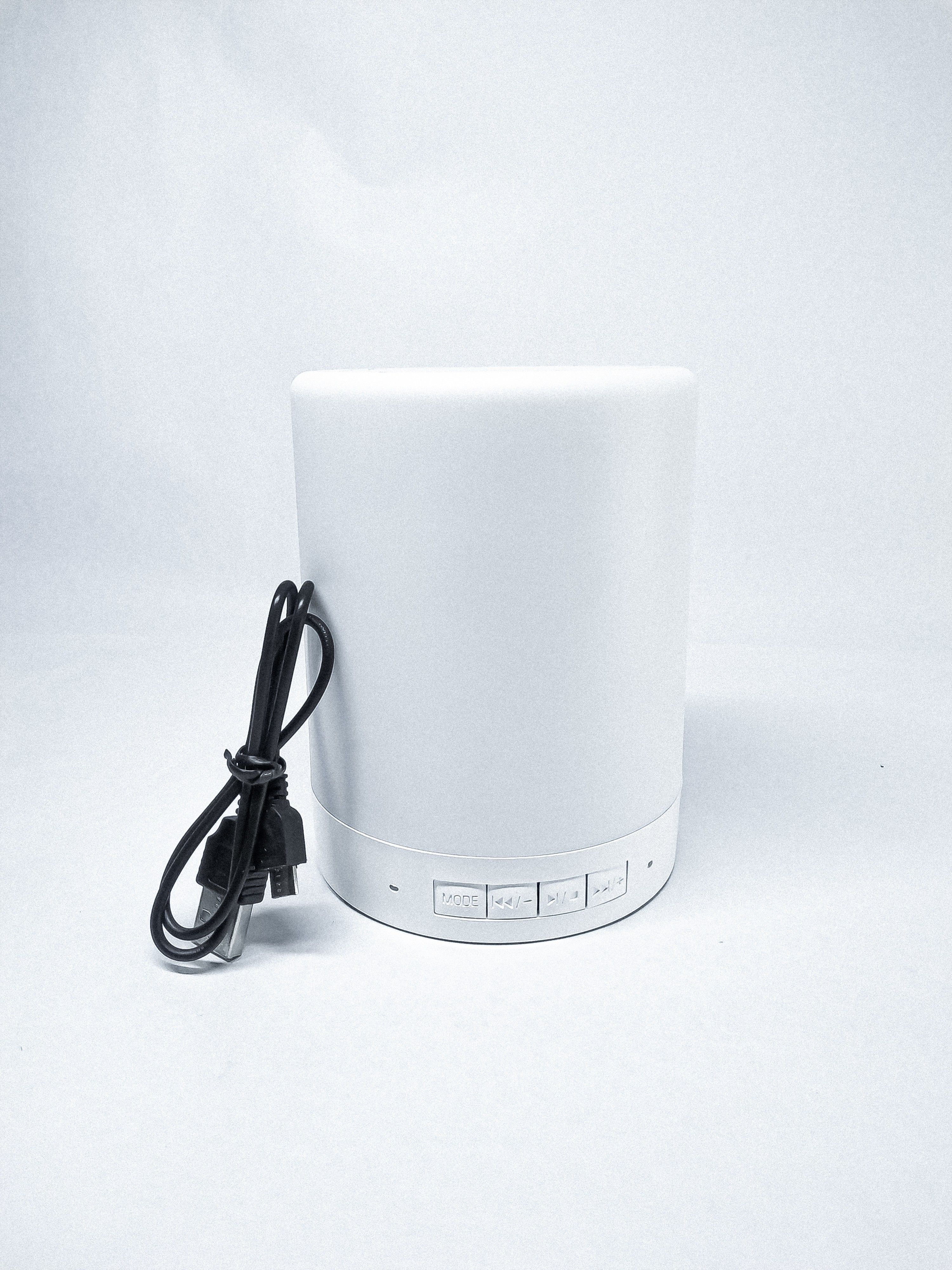 RSSV portable light lamp speaker Speaker Mod