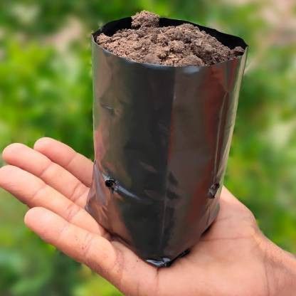 Gardening, Nursery Poly Bag, 3X5 Inch, Pack Of 100 Grow Bag Grow Bag-image-34
