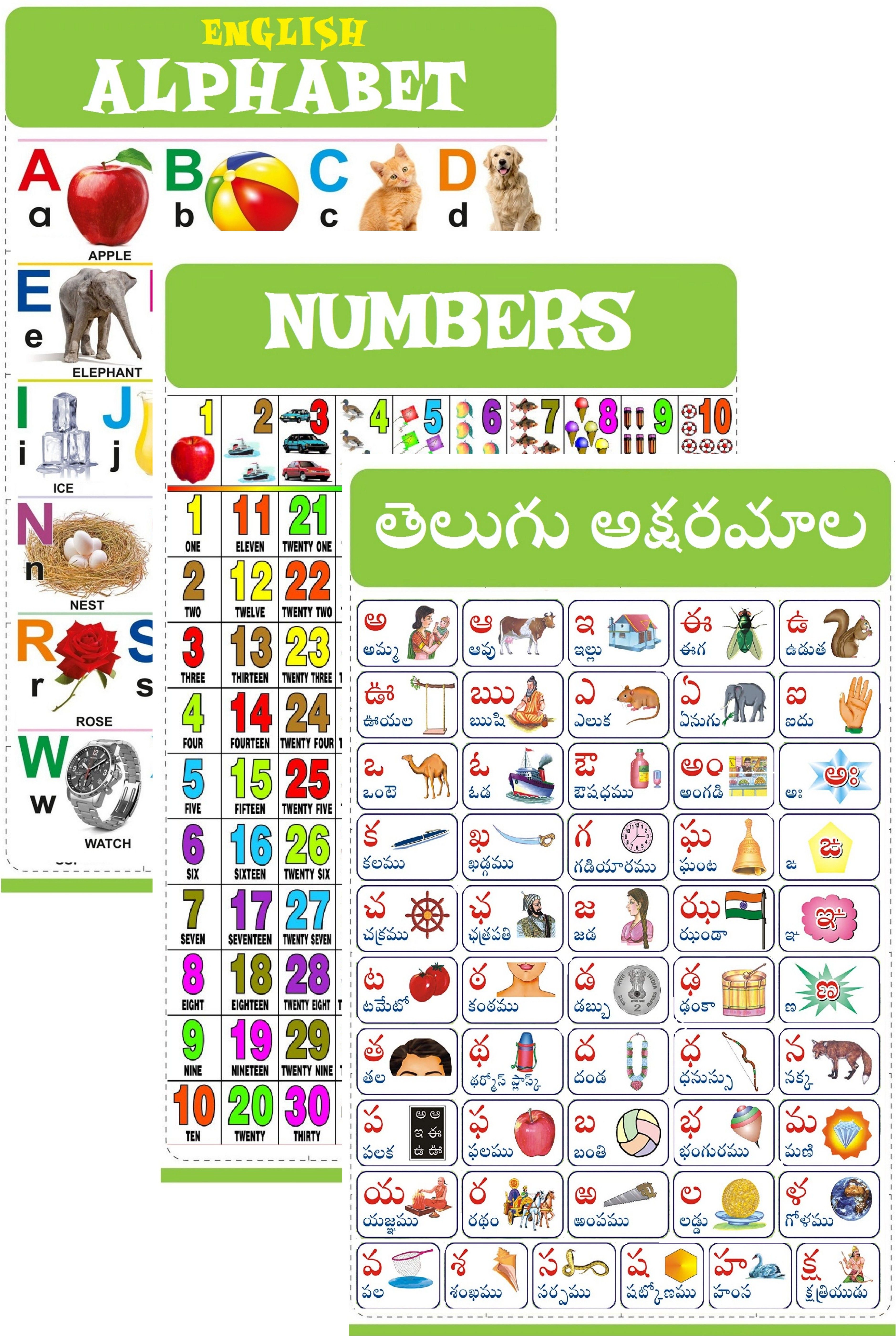 Telugu Aksharamala, English Alphabets & Numbers wall Chart for Kids 47x65 cm (19x26 Inch) Mega Size (3 Charts ) - Laminated Early Learning Education Wall Picture Chart Fine Art Print-image-6