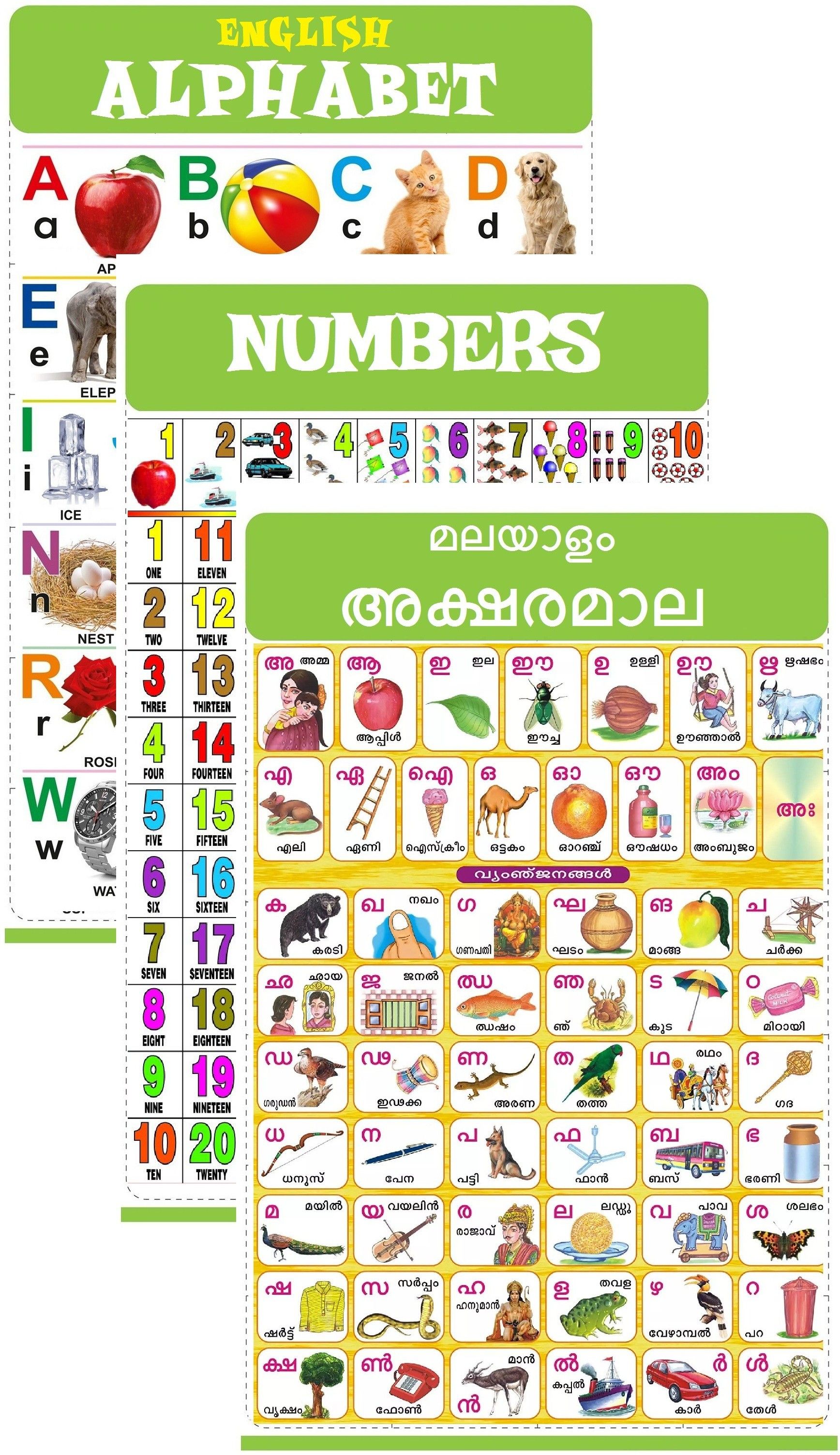 Malayalam Chart for Kids 47x65 cm (19x26 Inch) Mega Size (3 Charts ) - Laminated Early Learning Education Wall Picture Chart | Malayalam Alphabets, English Alphabets & Numbers Fine Art Print-image-10
