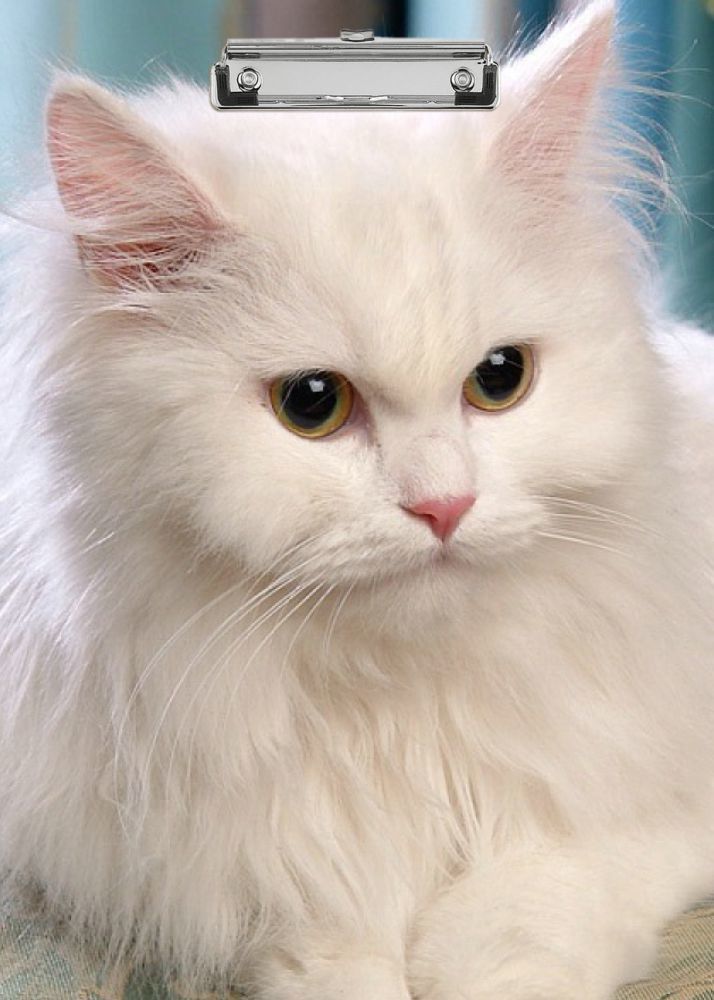 CUITE digital reprint clip board exam pad (14 x 10 Inches) premium quality ( wood )