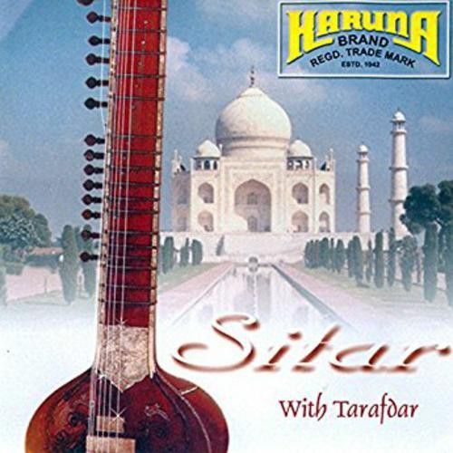 karuna STRINGS Sitar Strings-picture-15