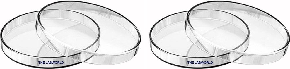 the labworld Glass Reusable Petri Dish-picture-26