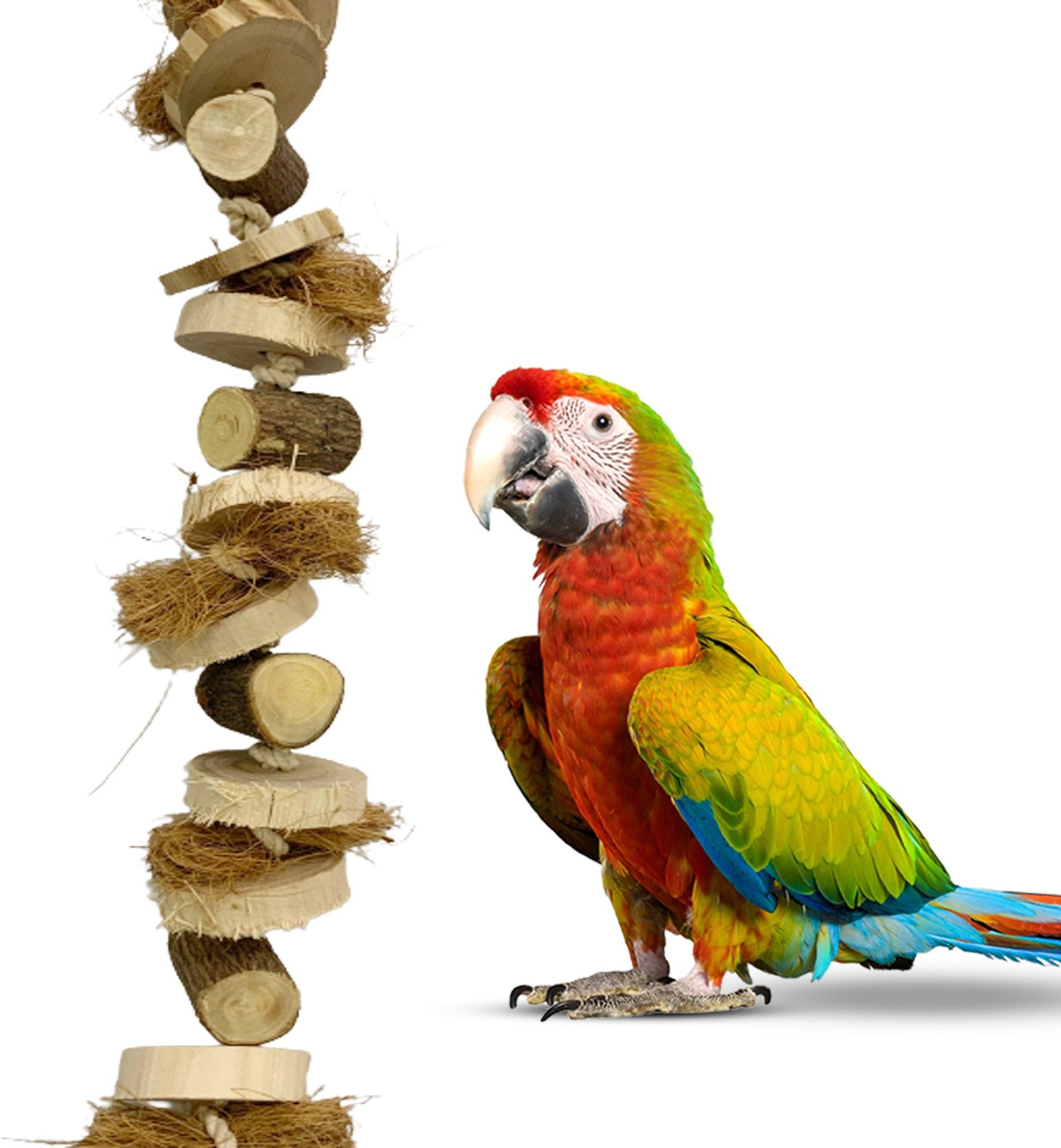 congo natural parrot treat Natural Hanging Toy Wooden Chew Toy For Bird-picture-14