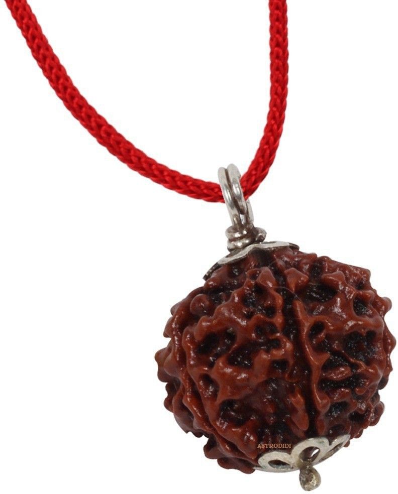 Six Face Rudraksha/ 6 Mukhi Rudraksha / 6 Face Rudraksha Silver Pendant With Lab Certificate Silver Wood Pendant-image-22