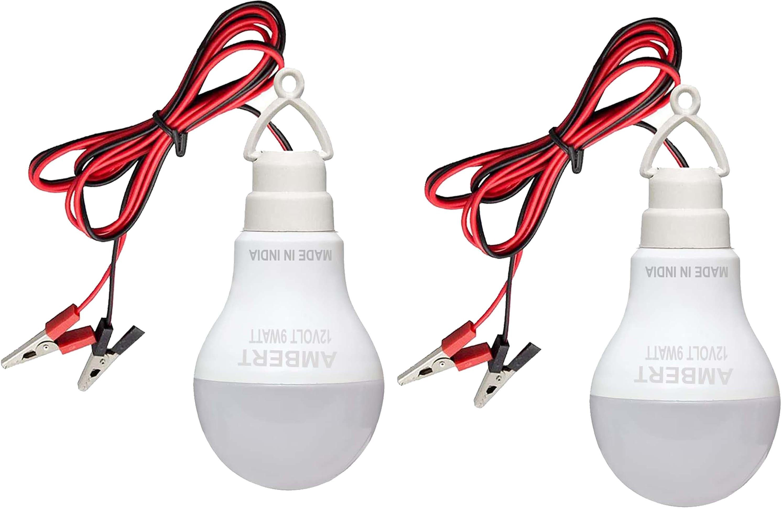 ambert 9 W Basic Globe Plug & Play LED Bulb image 1