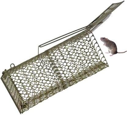 Rat trap Cage (Pinjra) Great Problam Solver For All Rat Rleavent Problams Live Trap