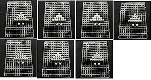 tm&w Chicken Egg Trays and Quail or Smaller Egg Trays for Egg Incubator Setting (221 * 5=1105-Quail) Egg Incubator-picture-18