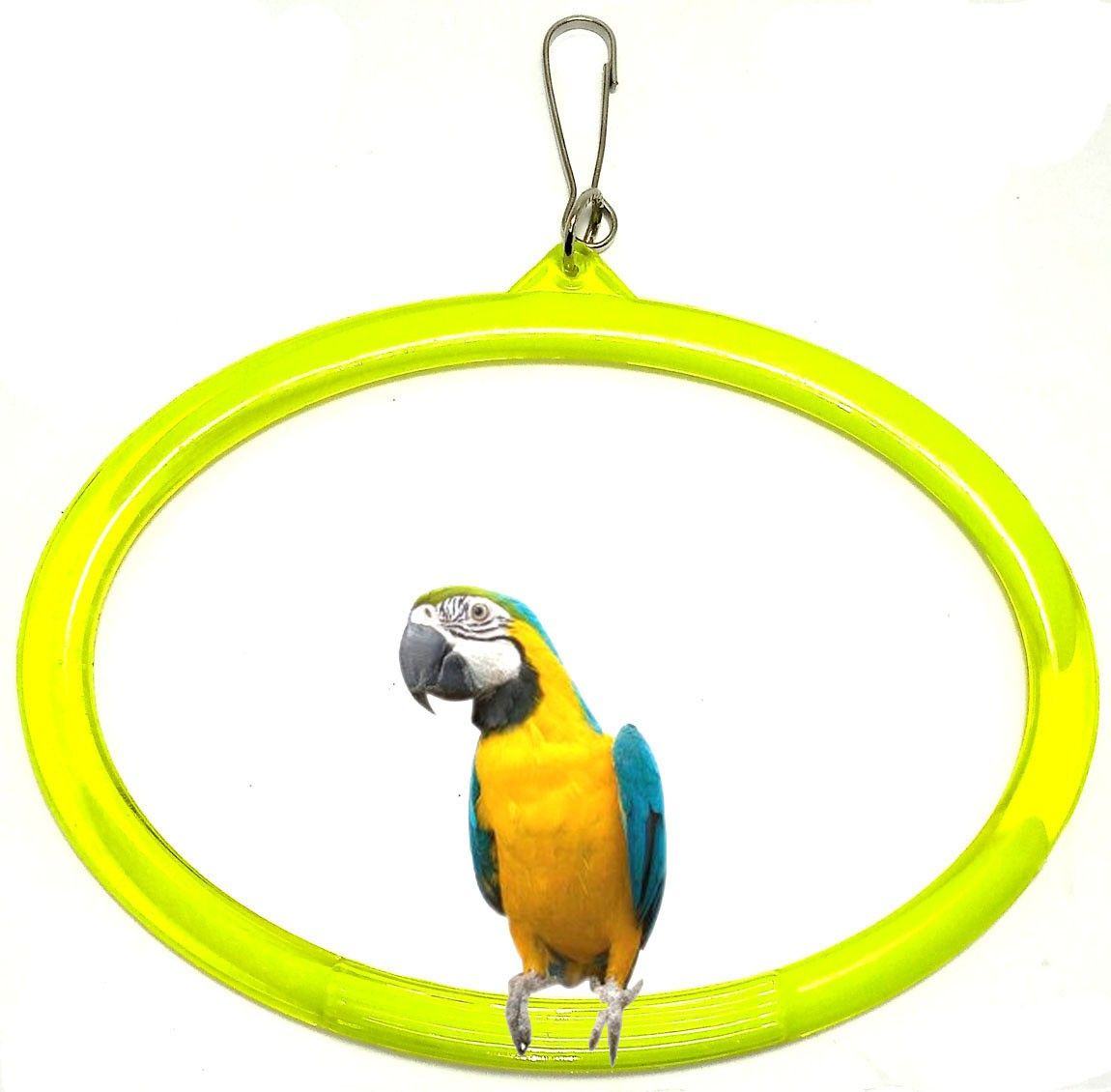 skystar Fiber Training Aid For Bird-picture-33