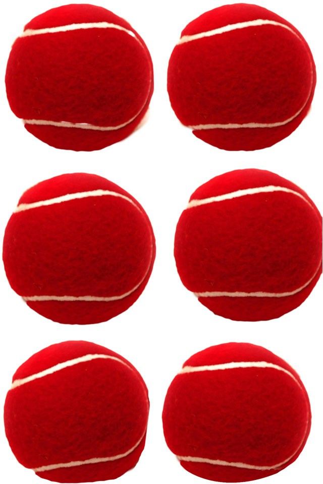 Red Soft Tennis Cricket Ball Tennis Ball