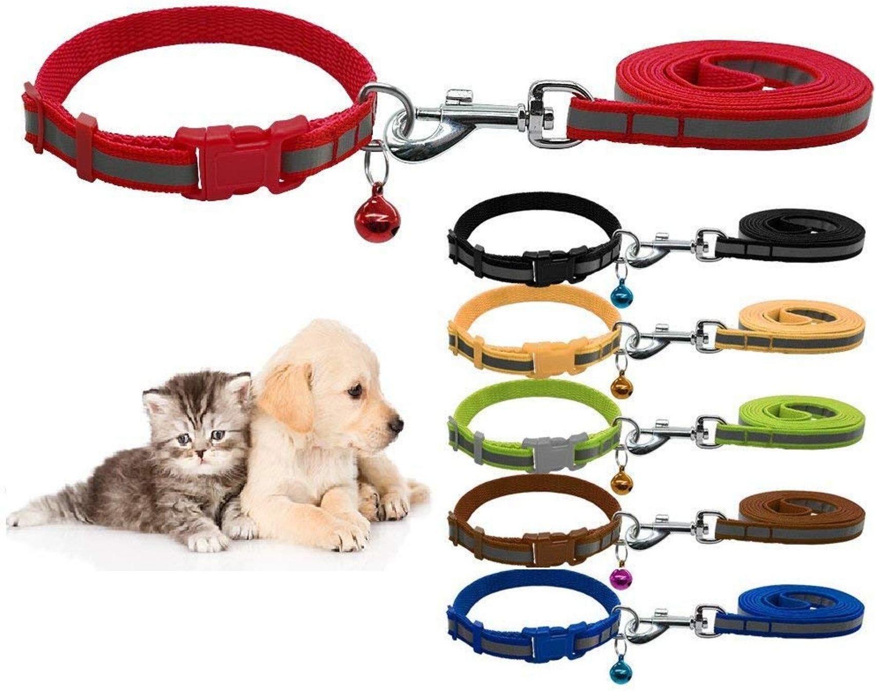 Set of 2 Nylon Leash with Collar Set for Puppy-Small -1.5 cm (Blue-Red) 121 cm Dog & Cat Strap Leash-image-44