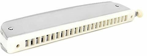 adiohub Changer/Chromatic Mouth Organ, Harmonica key-C, 24 Holes 48 Tones/Read with Scale Changer-picture-13