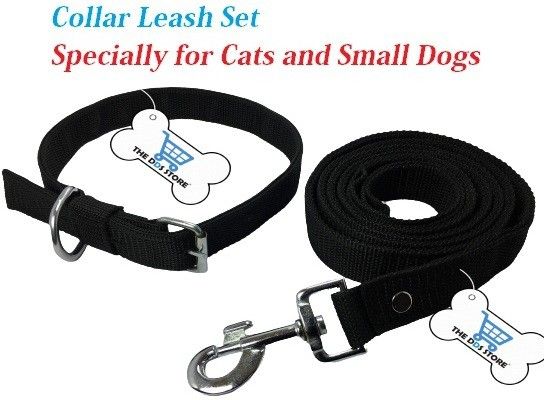the dds store Dog Belt Combo of Dog Collar with Leash Good Quality Puppy Belt/Puppy Collar Belt Dog Collar & Leash Dog Collar & Leash Dog Collar & Leash Nylon Dog Belt Combo of Dog Collar with Lead Dog Belt Combo of Dog Collar with Dog Leash Specially for Small to Medium and Large Breed Sizes Available Choice is Yours Breed Under 3.Kgs to 30kg like Shih Tzu, Pug, Lhasa, Small Labrador, Small German Shepherd, Small Beagle, Indian Spitz, German Spitz, Dachshund 1/2 inch Dog & Cat Collar & Leash-picture-32