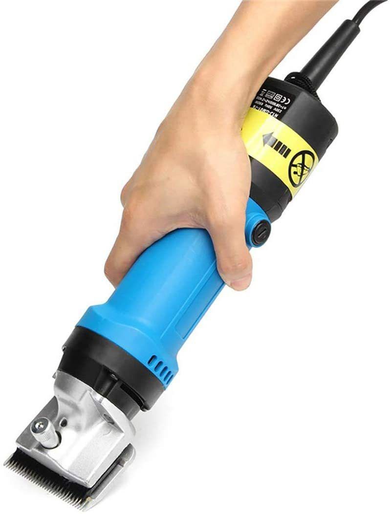MS850 Black, Blue Pet Hair Trimmer-image-44