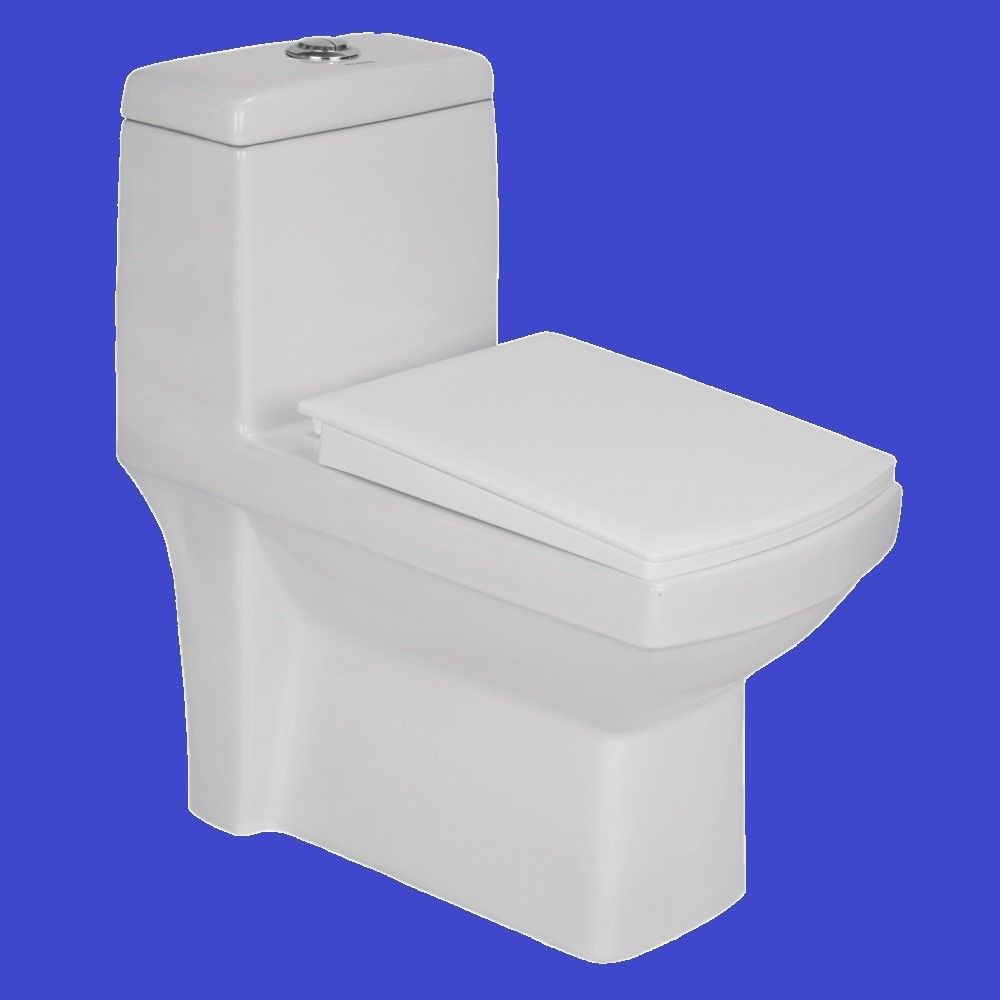 Floor Mounted EWC Toilet One Piece Water Closet S Trap Distance 225mm / 9 Inch Western Commode-image-14