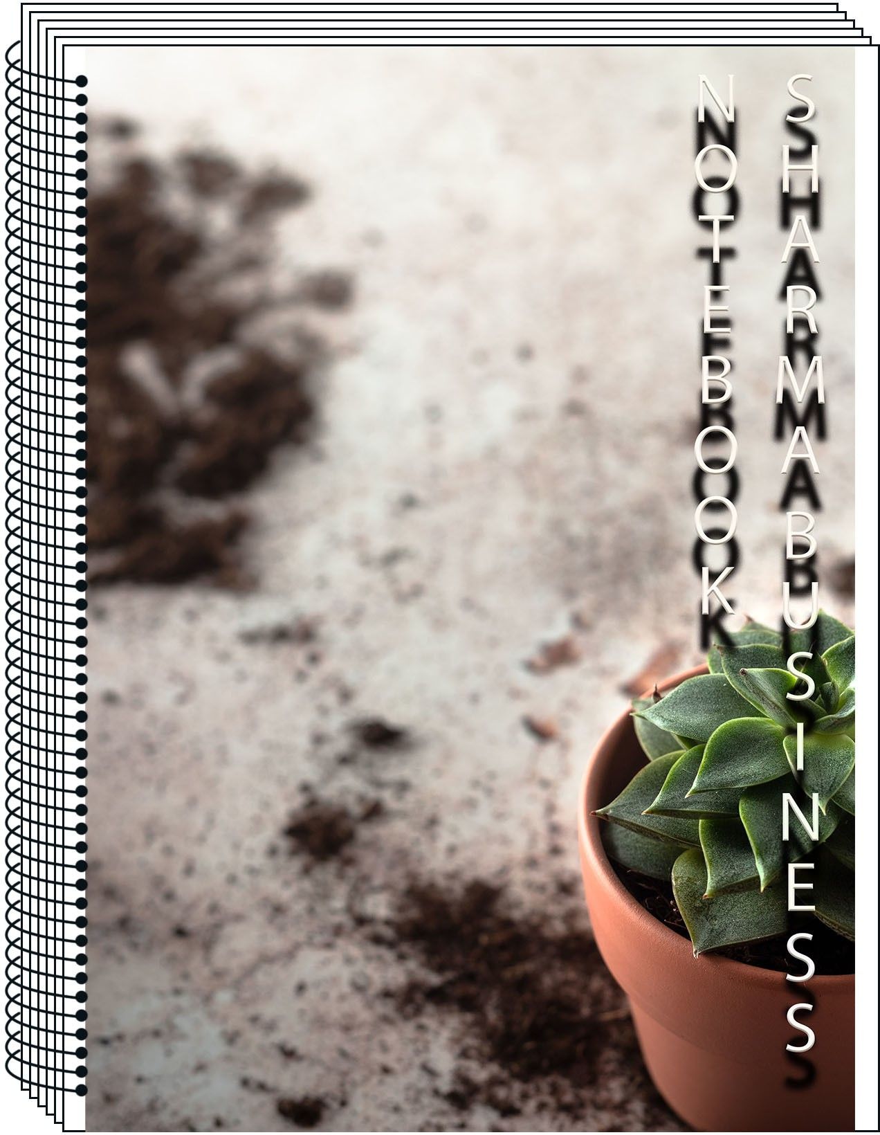 exam preparation and school work A4 Notebook plain 400 Pages