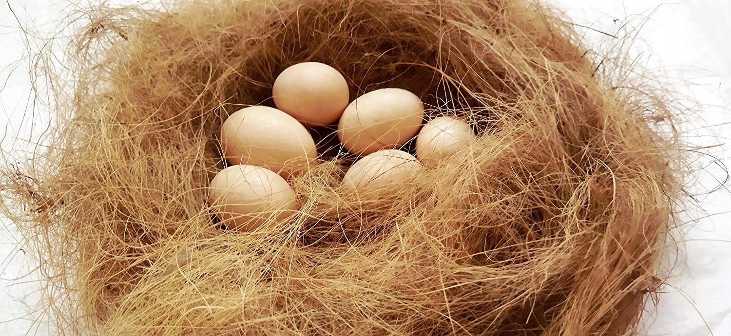 jugnoo Nesting Material for Birds for Making Nest, Manually Extracted Natural CoirFiber Bird House-picture-11