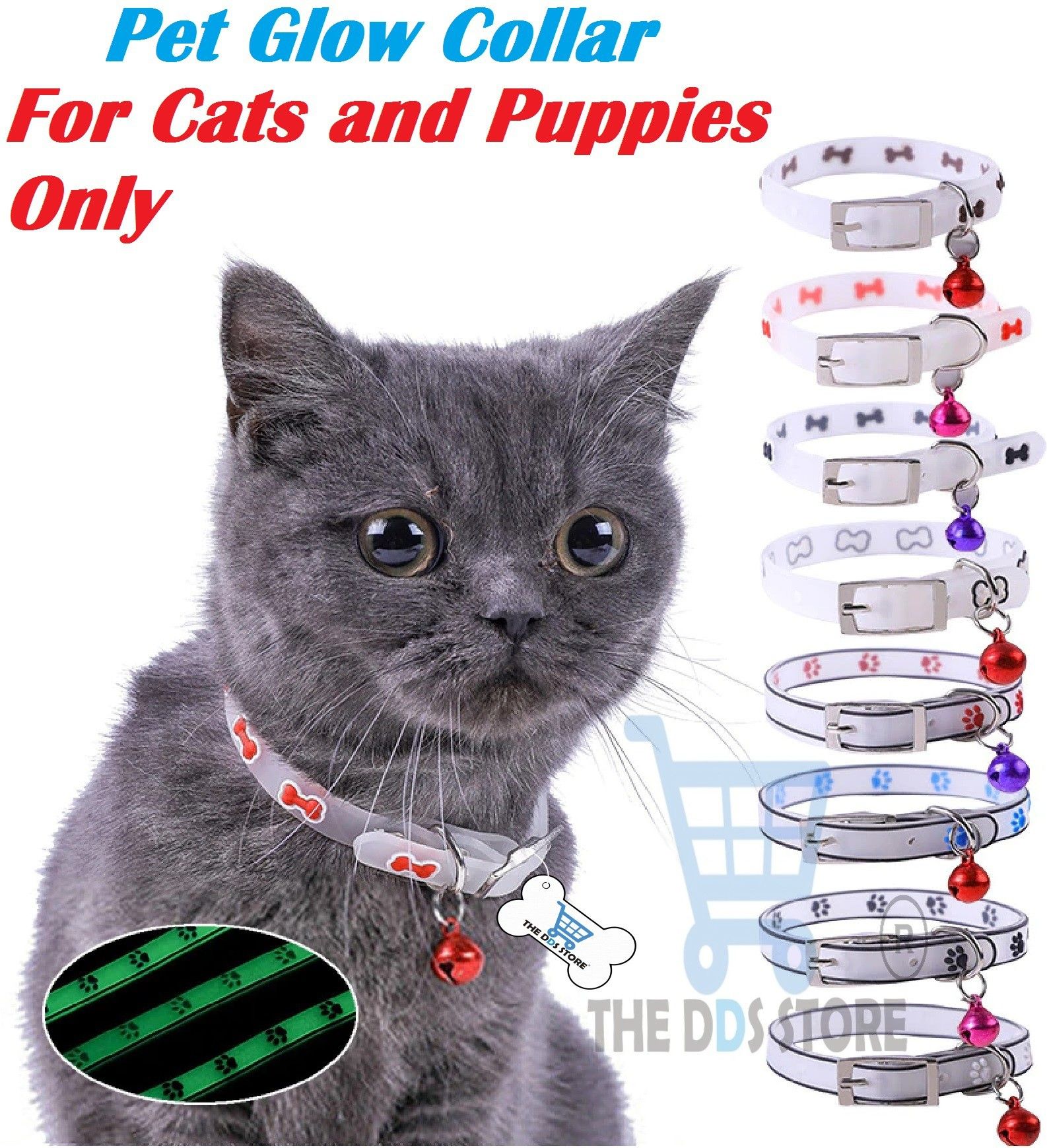 the dds store Cat Everyday Collar-picture-29