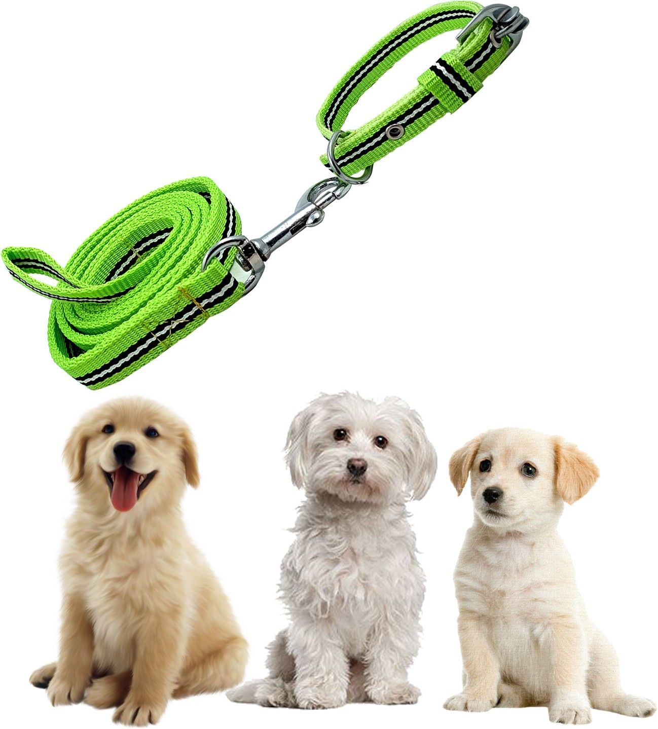 Multicolor Dog Leash With Collar 20mm Material Nylon 140 cm Dog & Cat Strap Leash-image-26